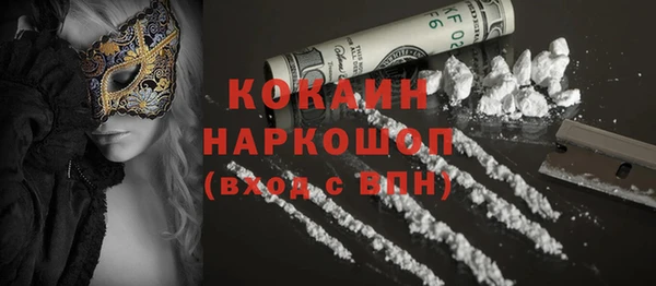 прущие грибы Абаза