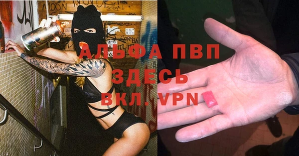 прущие грибы Абаза