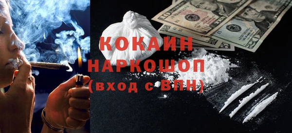 прущие грибы Абаза