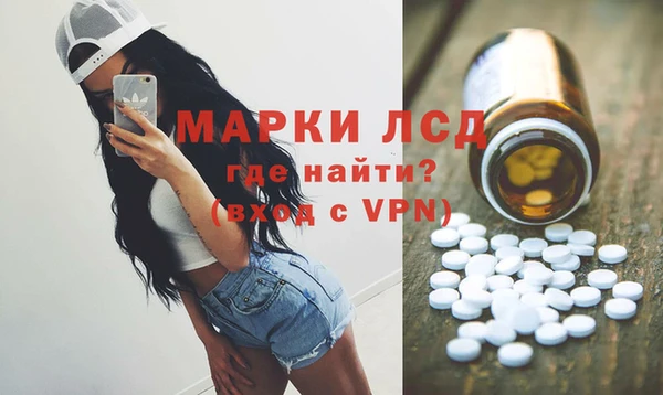 прущие грибы Абаза