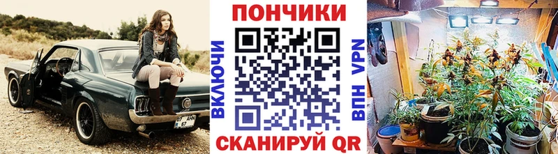 купить наркоту  Осташков  МАРИХУАНА LSD WEED 